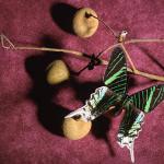 Green and white swallowtail on dried branch