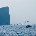 On the Sea uid 1045691