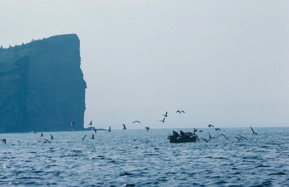 On the Sea uid 1045691