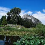 Plant & Animal Kingdom c1050