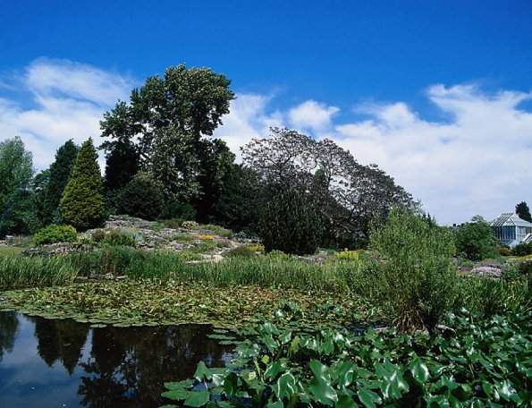 Plant & Animal Kingdom c1050
