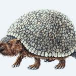 Prehistoric World 0060