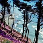 Scenic-hill