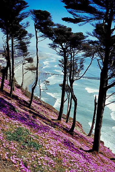 Scenic-hill