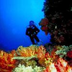 Underwater Photography 0071