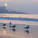 beach uid 1602388
