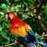 colorful uid 1659210