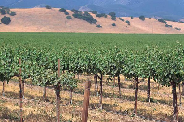 landscape uid 1659091