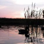 nature uid 1598918