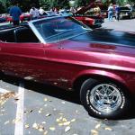 Transportation 235