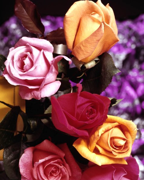 Flowers 061
