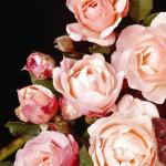 Flowers 119