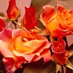 Flowers 124