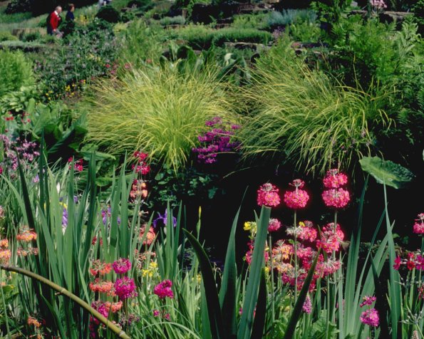 Flowers 149