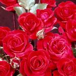 Flowers 174