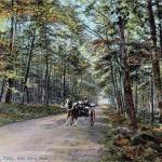 gardner-bettyspringroad-1024x652