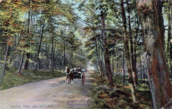 gardner-bettyspringroad-1024x652