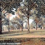 templeton-historical-templetoncommon