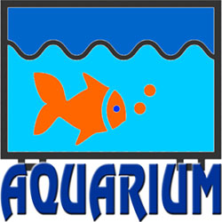 aquarium250 Aquarium