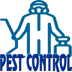 pestcontrol250 Pest Control