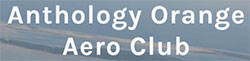Anthology Orange Aero Club