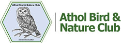Athol Bird and Nature Club