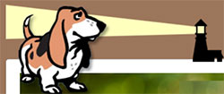 New England Basset Hound Rescue