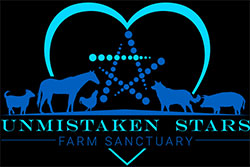 Unmistaken Stars Farm Santuary