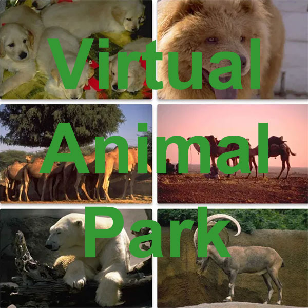 Virtual Animal Park and Zoo Photos