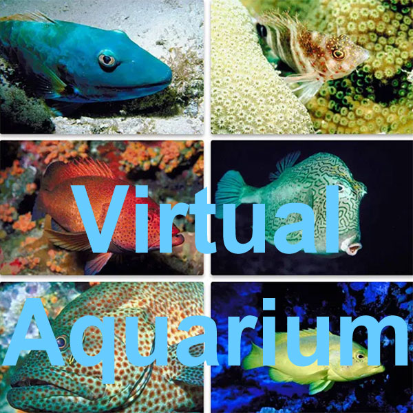 Virtual Aquarium Fish and Marine Life PHotos