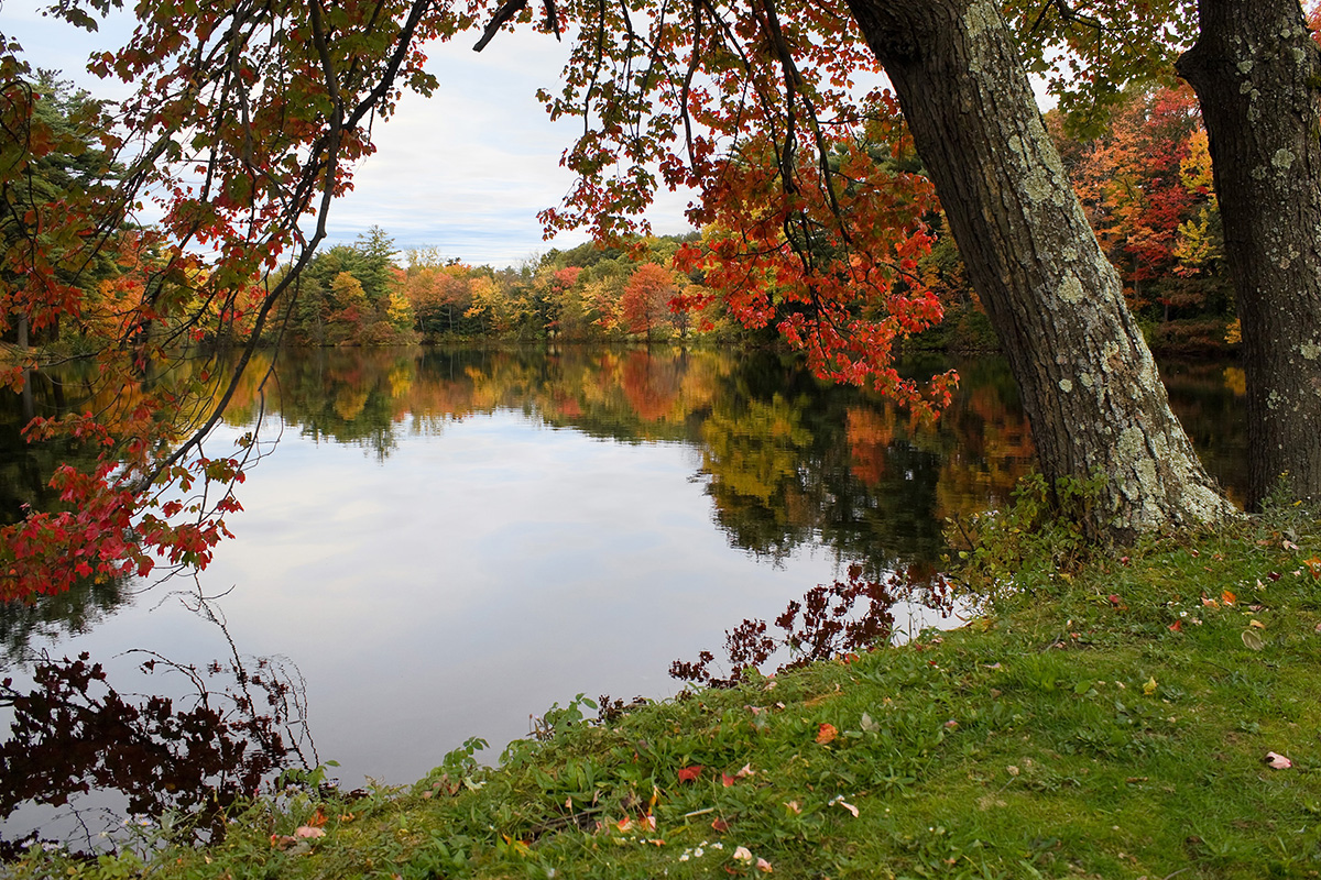 beautifulpond-1200 Beautiful Pond in Autumn
