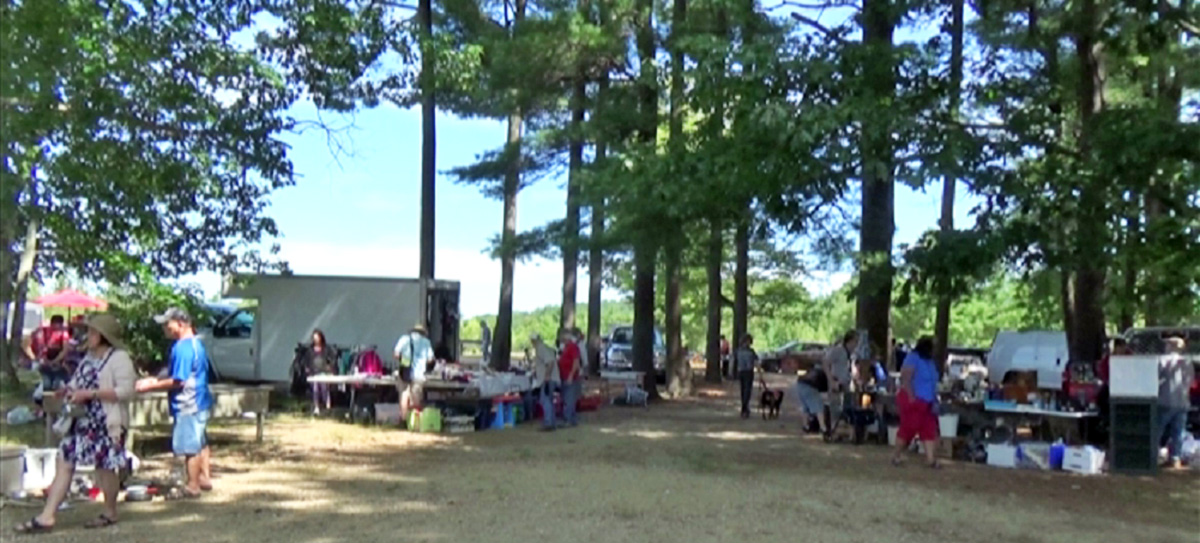 rietta-trees2-081521-1200 Shopping Under the Trees at Rietta Flea Market