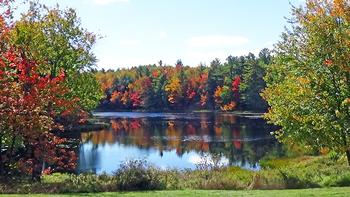 wildlifesanctuary-1200