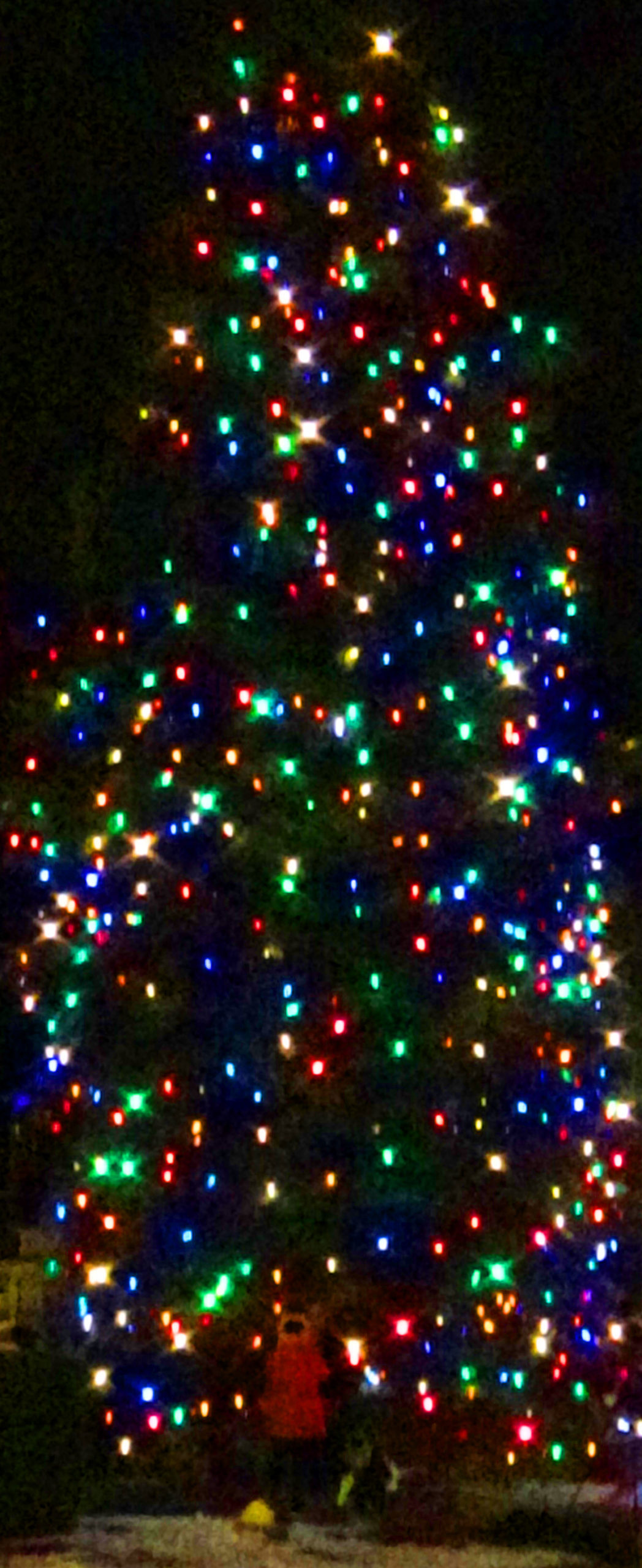 ChristmasTree-1200-scaled ChristmasTree-1200-scaled