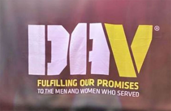 dav-600
