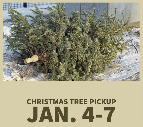 Gardner Christmas Tree pickup January 4 to 7, 2022