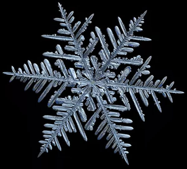 Gardner MA Snowflake