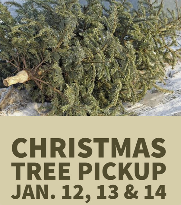 christmastreepickup-600 Christmas Tree Pickup January 12, 13, 14, 2022