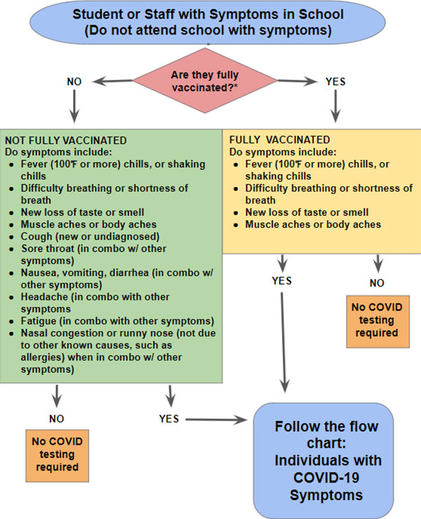 Covid Flow Chart