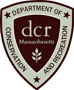 dcr-250 dcr massachusetts