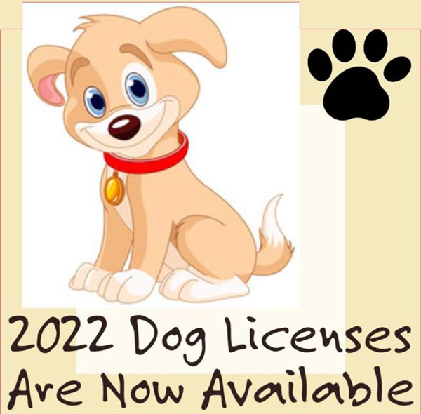 doglicensesavailable-600