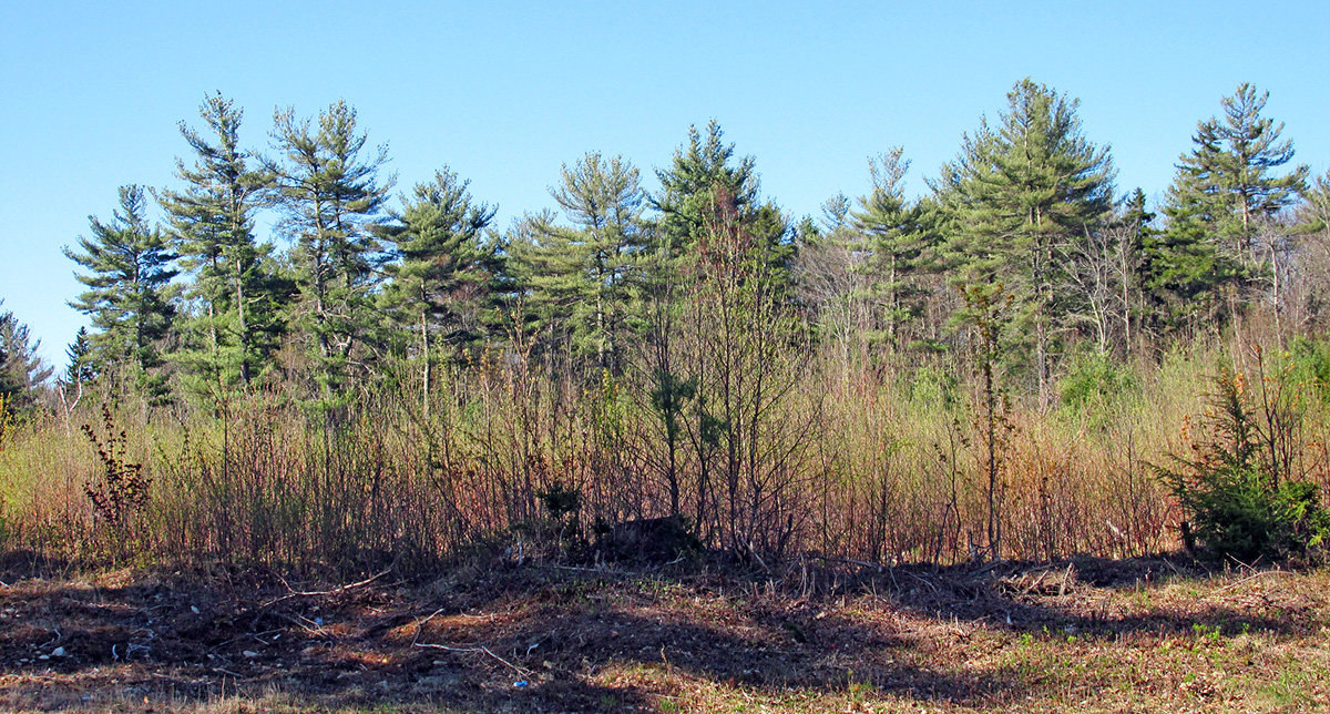 summit-vacantland-1200 Vacant land at Summit Industrial Park
