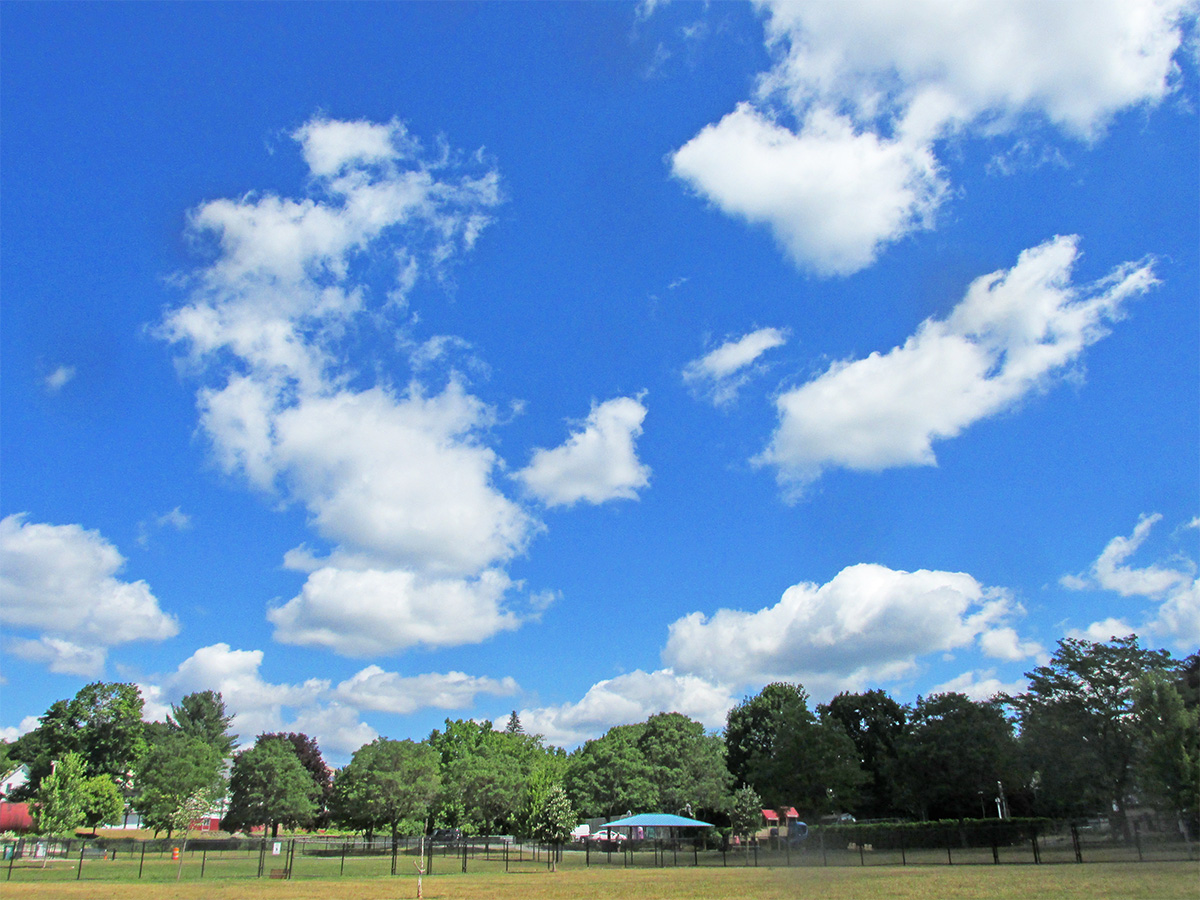 dogpark-clouds-071322-1200