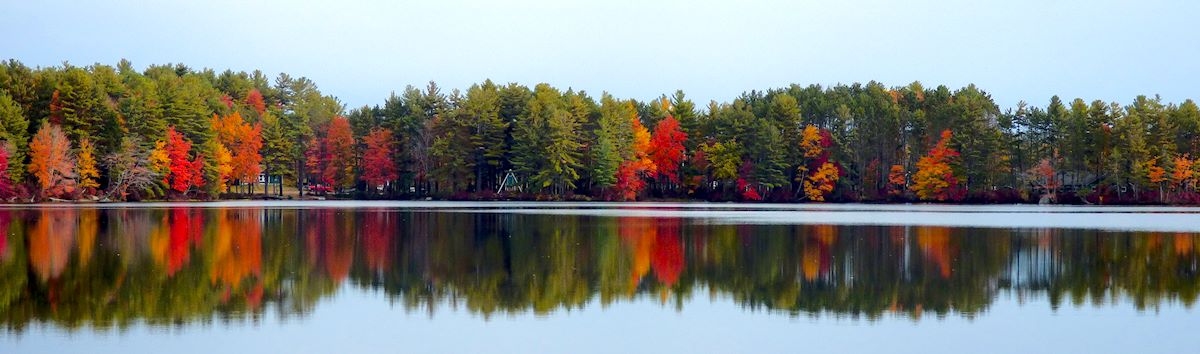 Foliage Wampanoag Area wide
