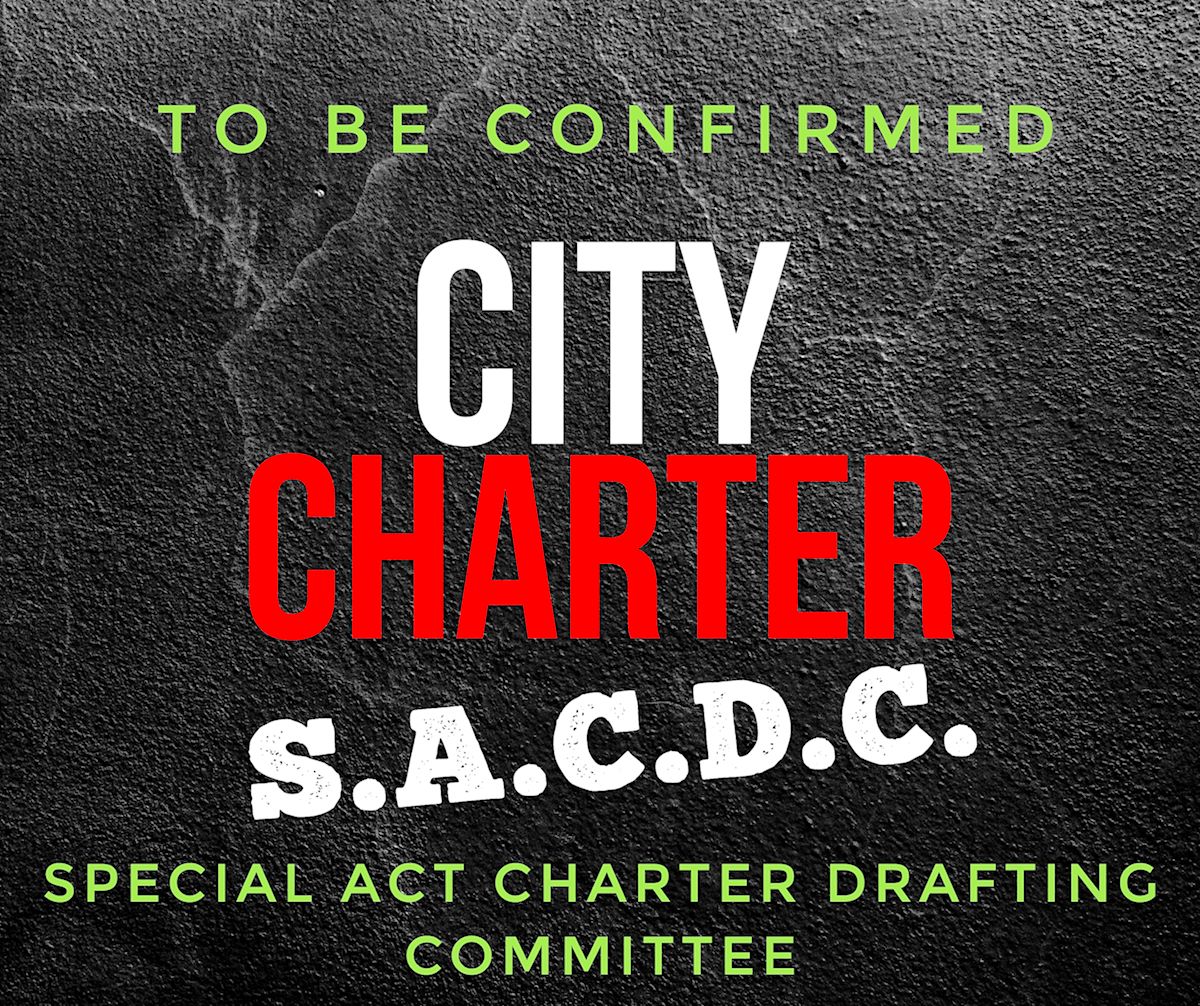 City Charter Drafting Committee confirmed