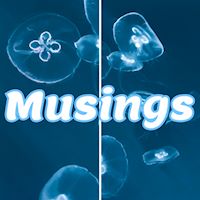 Musings