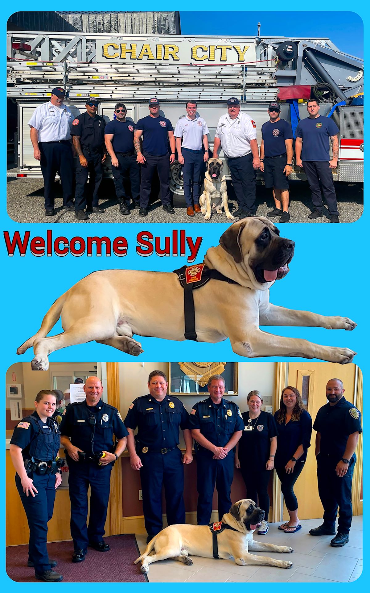 Gardner Fire Department Dog Sully
