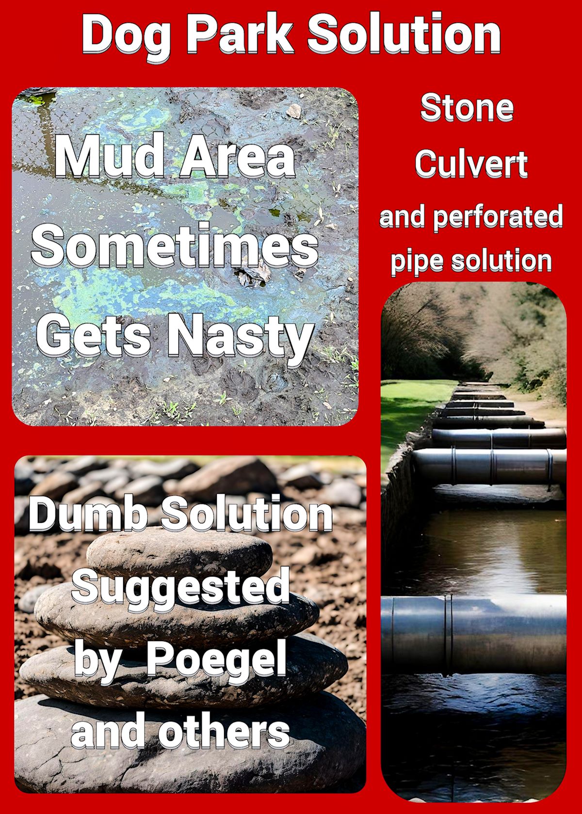 Dog Park Mud Solution Found