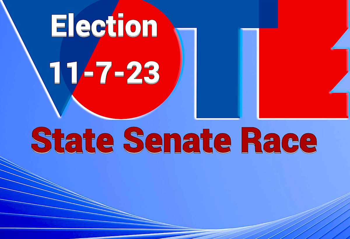 Vote State Senate Race