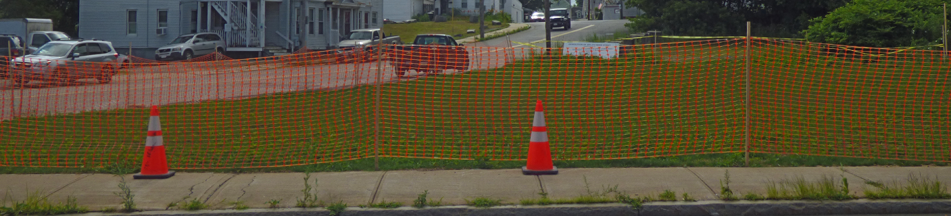 Grass is growing 7 9 25